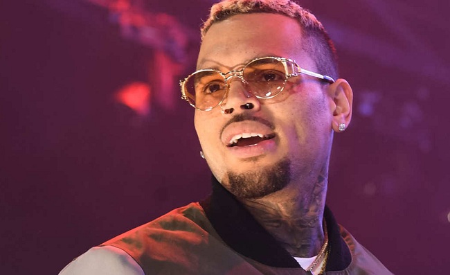 Chris Brown Net Worth 2022 Annual Income and Salary