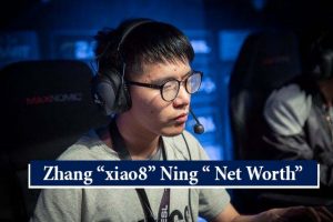 Zhang “Y.’” Yiping Net Worth