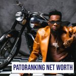 Patoranking Net Worth