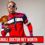 Small Doctor Net Worth