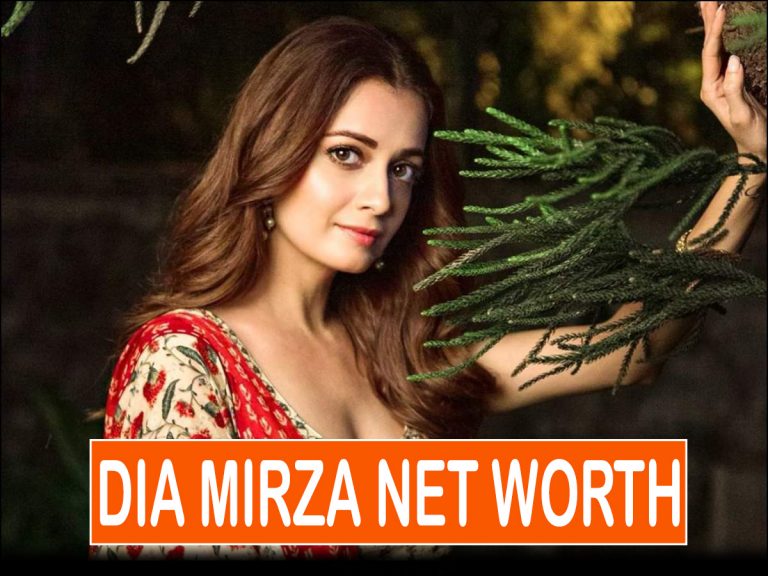 Dia Mirza Net Worth