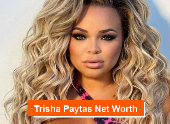Trisha Paytas net worth