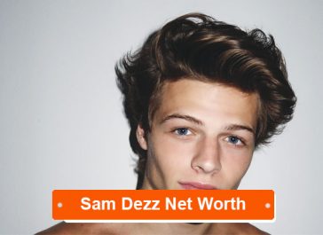 Sam Dezz net worth