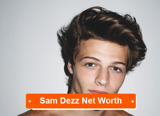 Sam Dezz net worth