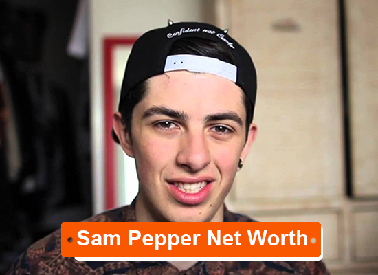 Sam Pepper net worth
