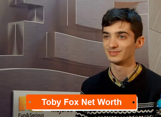 Toby Fox Net Worth