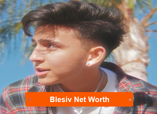 Blesiv Net Worth