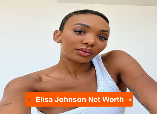 Elisa Johnson Net Worth