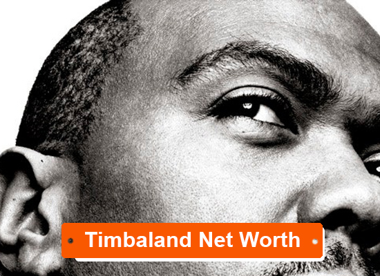 Timbaland Net Worth