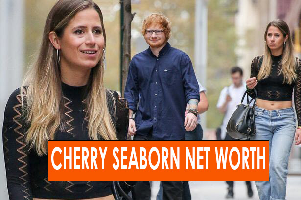 Cherry Seaborn Net Worth