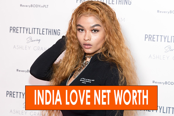 India Love Net Worth