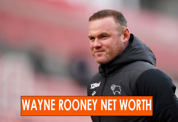 Wayne Ronney Net Worth
