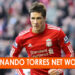 Fernando Torres Net Worth